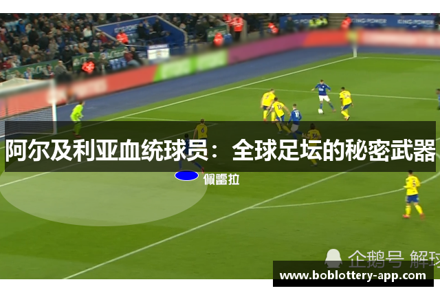 阿尔及利亚血统球员：全球足坛的秘密武器